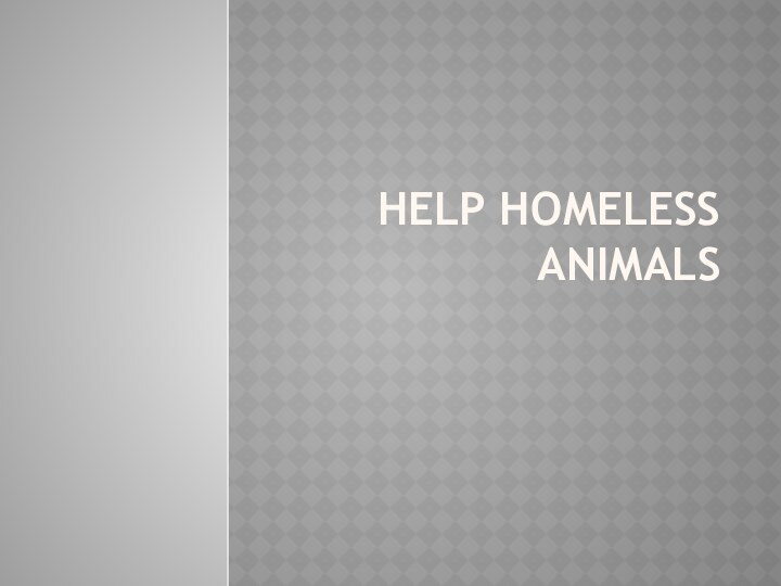 Help homeless animals