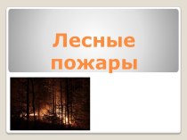 Все о лесных пожарах