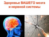 Здоровье ВАШЕГО мозга и нервной системы