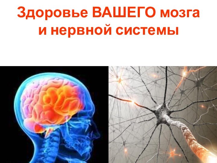 Здоровье ВАШЕГО мозга  и нервной системы