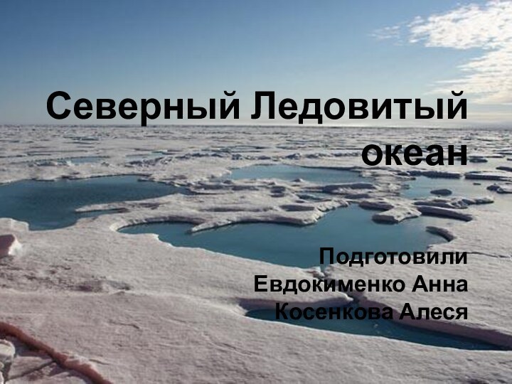 Северный Ледовитый океан   Подготовили Евдокименко Анна Косенкова Алеся