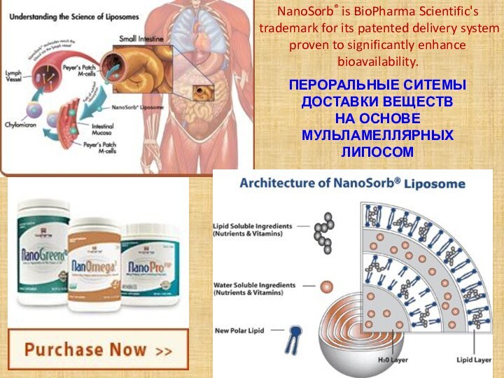NanoSorb® is BioPharma Scientific's trademark for its patented delivery system proven to