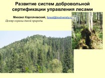 Управление лесом