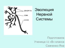 Нервная система живых организмов