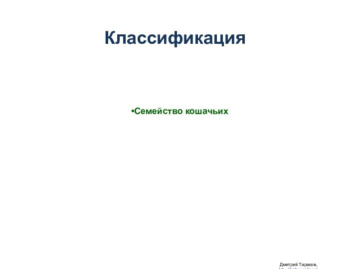 Классификация Дмитрий Тарасов, http://videouroki.net