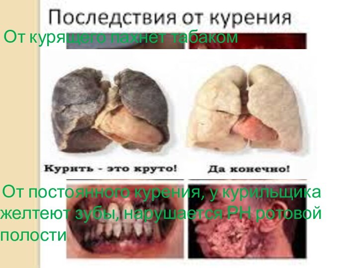 От курящего пахнет табаком От постоянного курения, у курильщика желтеют зубы, нарушается РН ротовой полости