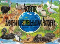 Австралия. Животный и растительный мир Австралии