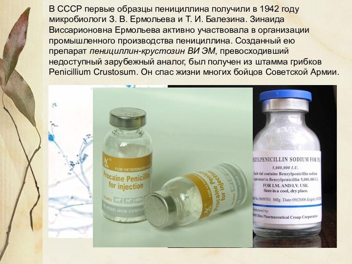 В СССР первые образцы пенициллина получили в 1942 году микробиологи З. В. Ермольева