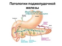 Патологии эндокринной        и      экзокринной функций панкреаса