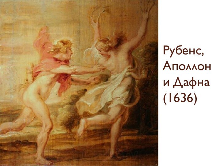 Рубенс, Аполлон  и Дафна (1636)