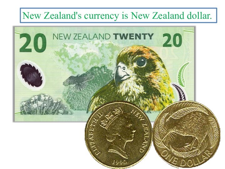 New Zealand's currency is New Zealand dollar.