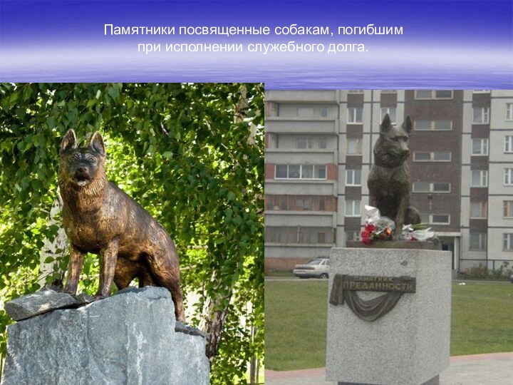 .Памятники посвященные собакам, погибшим при исполнении служебного долга.