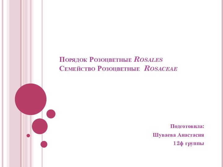 Порядок Розоцветные Rosales Семейство Розоцветные RosaceaeПодготовила:Шуваева Анастасия12ф группы