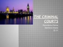 The criminal courts