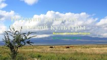 История развитие Казахской культуры