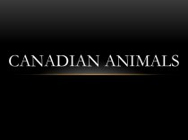 Canadian animals