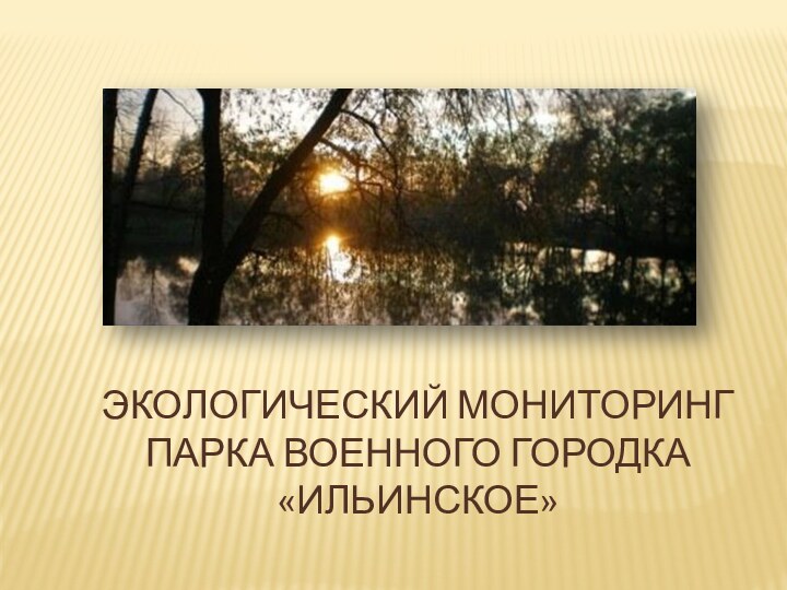 Экологический мониторинг парка военного городка «Ильинское»