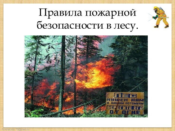 Правила пожарной безопасности в лесу.