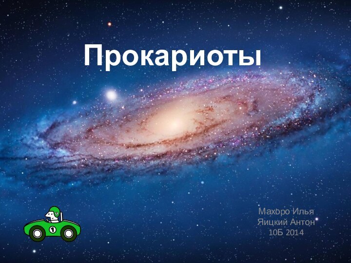 ПрокариотыМахоро ИльяЯицкий Антон 10Б 2014