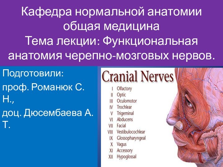 Кафедра нормальной анатомии общая медицина Тема лекции: Функциональная анатомия черепно-мозговых нервов.