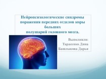 Нейропсихологические синдромы поражения передних отделов коры большихполушарий головного мозга.