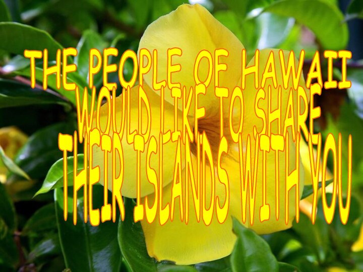 THE PEOPLE OF HAWAII WOULD LIKE TO SHARE THEIR ISLANDS WITH YOU
