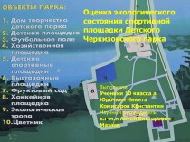 Оценка экологического состояния спортивной площадки Детского Черкизовского парка