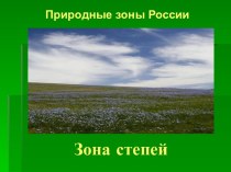 Природные зоны России: зона степей