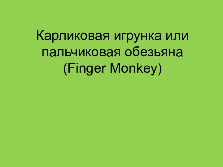 Карликовая игрунка или пальчиковая обезьяна (Finger Monkey)