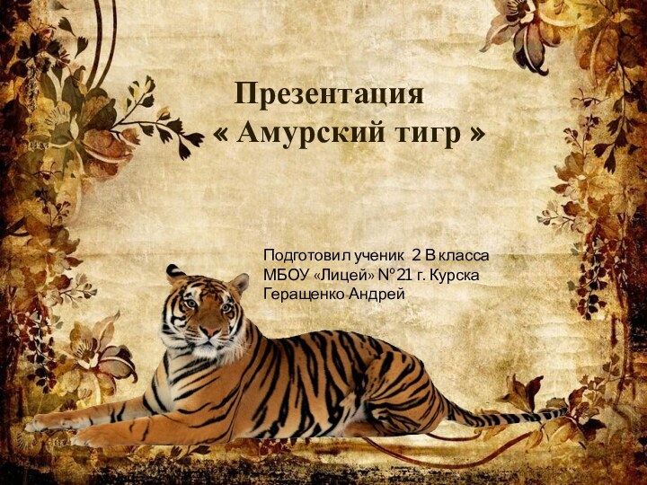 Презентация « Амурский тигр »Подготовил ученик 2 В классаМБОУ «Лицей» №21 г. КурскаГеращенко Андрей