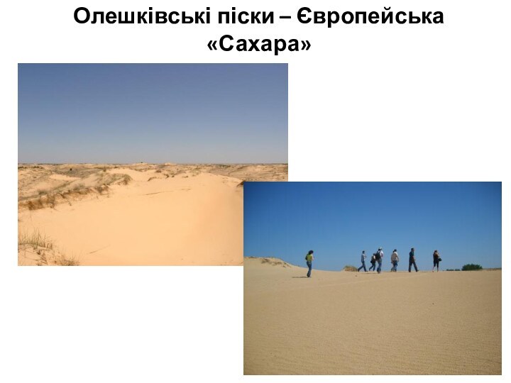 Олешківські піски – Європейська «Сахара»