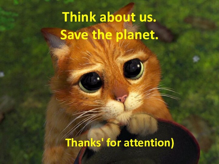 Think about us. Save the planet. Thanks' for attention)