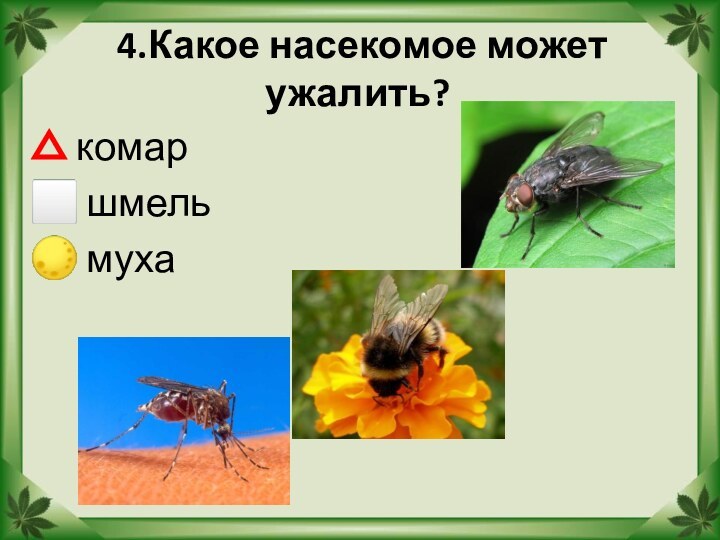 4.Какое насекомое может ужалить? комар шмель муха