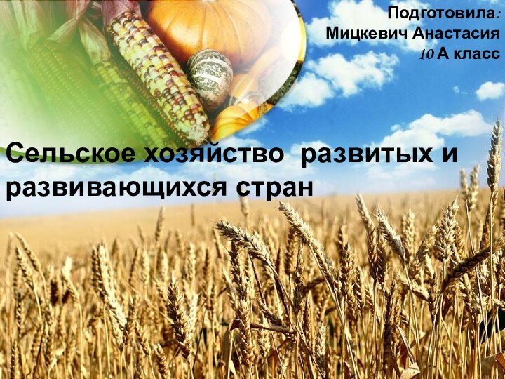 Сельское хозяйство развитых и развивающихся стран    Подготовила: Мицкевич Анастасия  10 А класс