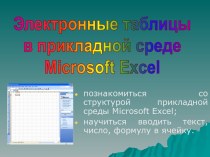Электронные таблицы в прикладной среде Microsoft Excel