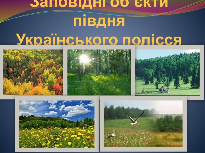 Заповідні об`єкти півдня  Українського полісся