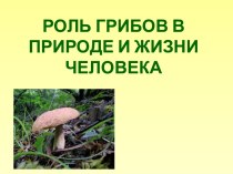 Роль грибов в природе и жизни человека