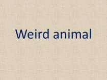 Weird animal