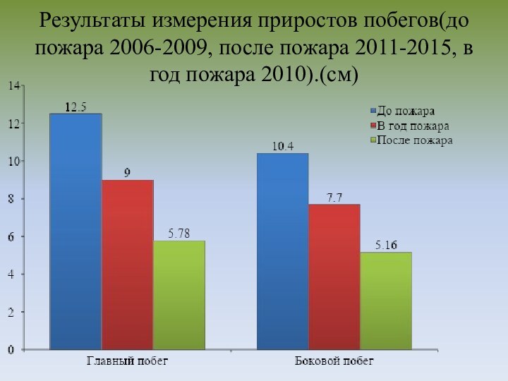 Результаты измерения приростов побегов(до пожара 2006-2009, после пожара 2011-2015, в год пожара 2010).(см)
