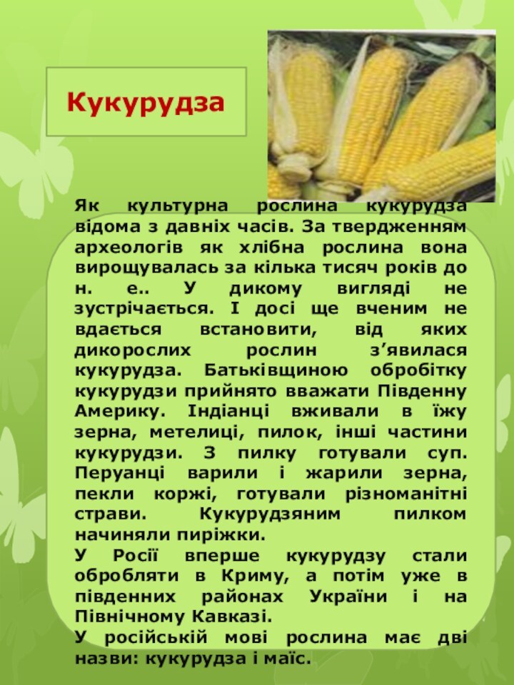 КукурудзаЯк культурна рослина кукурудза відома з давніх часів. За твердженням археологів як