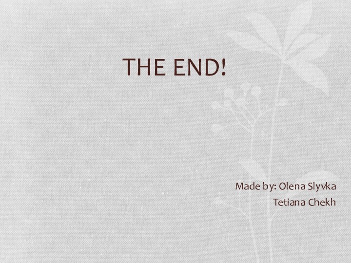 THE END!Made by: Olena SlyvkaTetiana Chekh