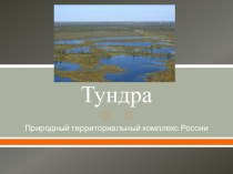 Тундра. Природный территориальный комплекс России