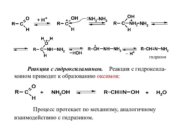 гидразон       Реакция с гидроксиламином.  Реакция