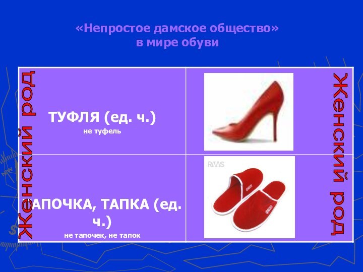 «Непростое дамское общество» в мире обувиЖенский родЖенский род