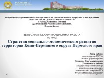 Стратегия социально-экономического развития территории Коми-Пермяцкого округа