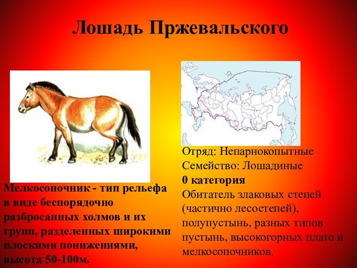 Лошадь ПржевальскогоОтряд: НепарнокопытныеСемейство: Лошадиные0 категорияОбитатель злаковых степей (частично лесостепей), полупустынь, разных типов