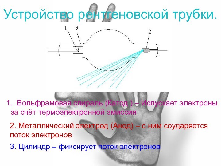 Устройство рентгеновской трубки.Вольфрамовая спираль (Катод ) – Испускает электроны за счёт термоэлектронной