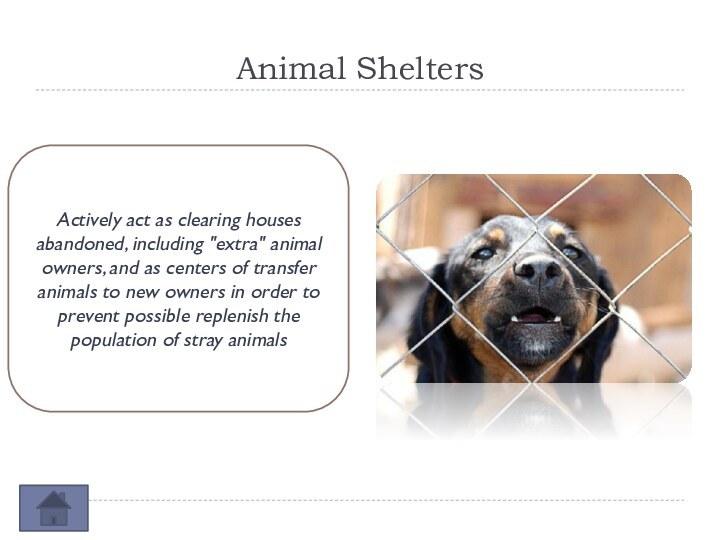 Animal SheltersActively act as clearing houses abandoned, including 