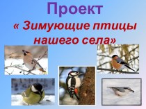 Зимующие птицы нашего села