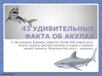43 удивительных фактов об акулах
